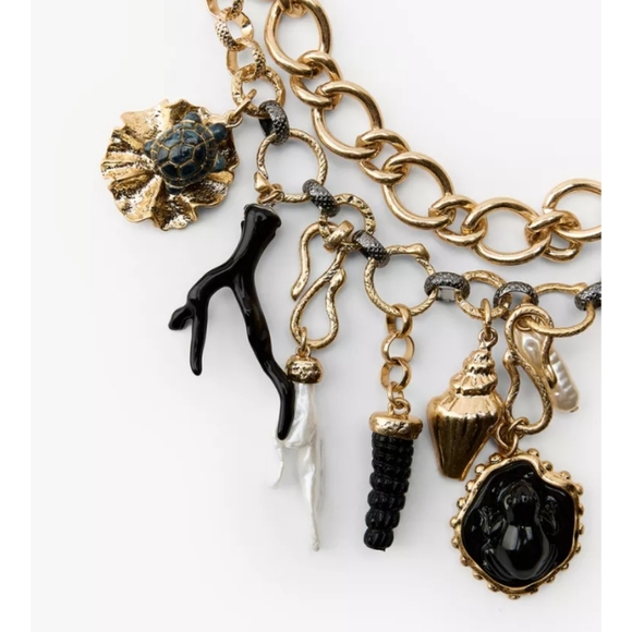 Zara Pack Of Medallion And Charm Necklace - Picture 4 of 4